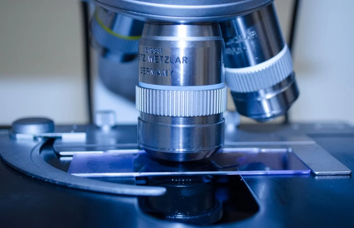 Доцент Гурина рассказала, как учёные из Китая меняют свойства продуктов